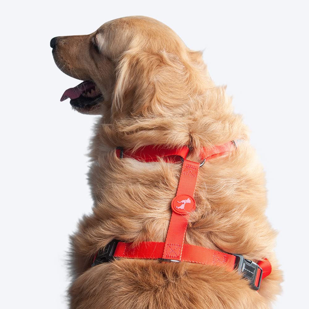 HUFT Classic Dog H Harness - Red (B0BSV7TSGG) Amazon Price History, Amazon Price Tracker