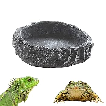 Amazon | 爬虫類両生類飼育ケースアクセサリー 餌入れ食器