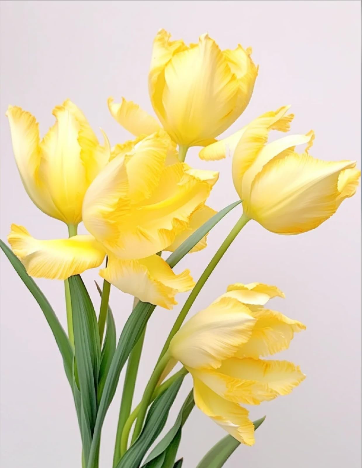 Stithej Pre-Printed Cross Stitch Kit Yellow Tulips 11CT for Beginners