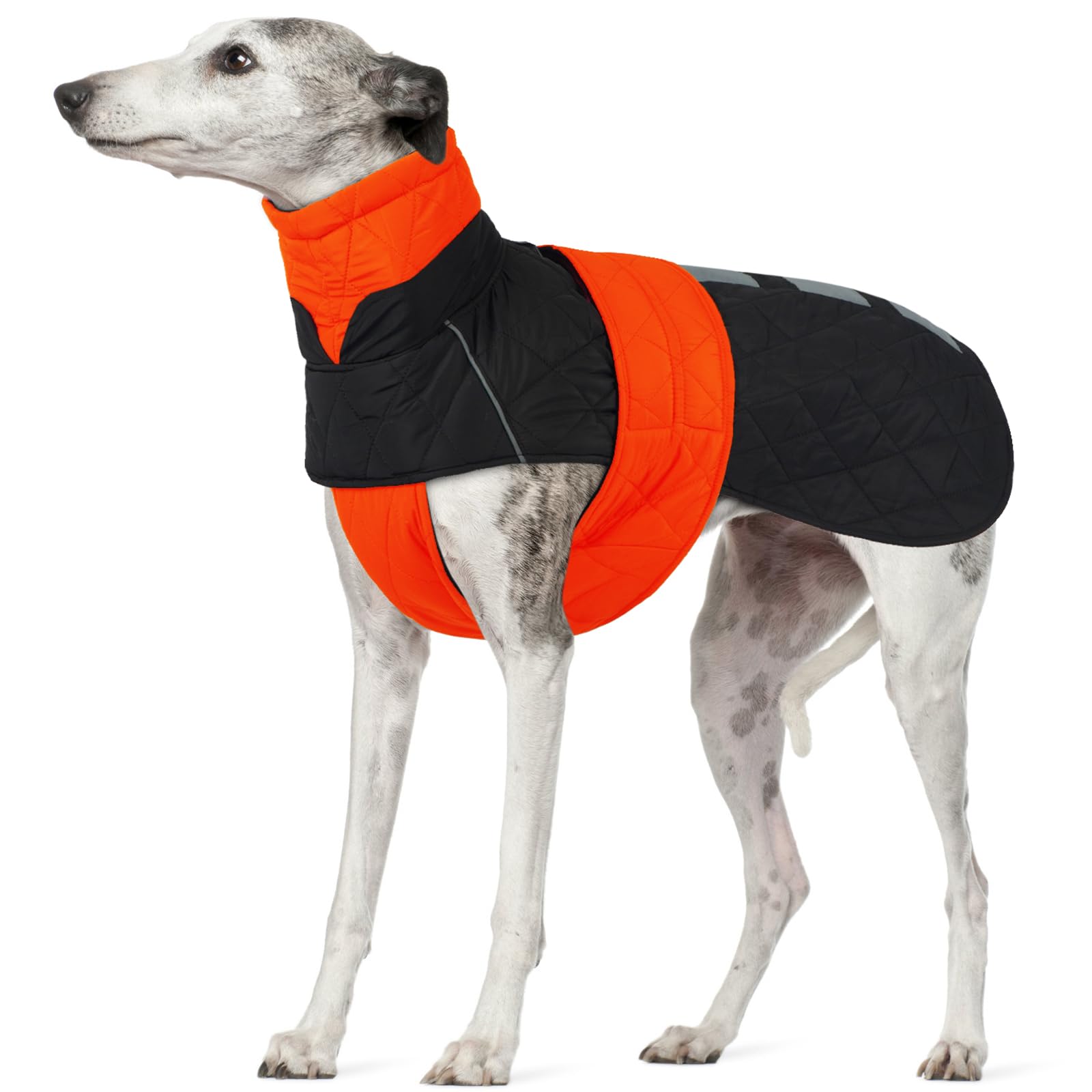 Cappotto Lurchers Invernale, Giacca Impermeabile Levrieri Giacca Calda Cani Piumino Cani Cappottino Imbottito Cani