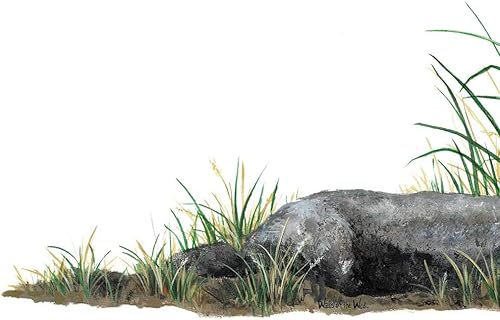 Miniatura 2 de Walls of the Wild Calcomanías de pared de rocas y hierba (42 pulgadas x 12 pulgadas)