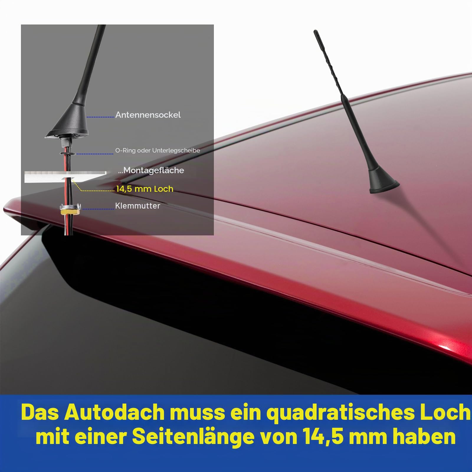 Eightwood DAB Antenne Auto Dachantenne mit Verstärker Splitter SMB DIN FM