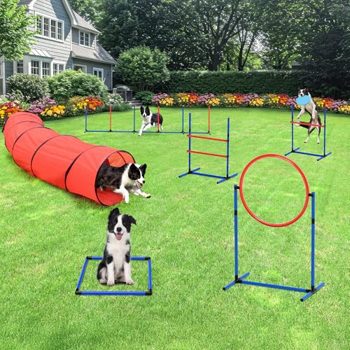 DWVO Dog Agility Accessories Kit: Comprises of a Teaser Pole, 2 Hurdles, 3 Flying Discs, 6 Weaving Poles, Agility Tunnel, Pause Box, Full Set of Agility Equipment for Backyard Indoors Outdoors