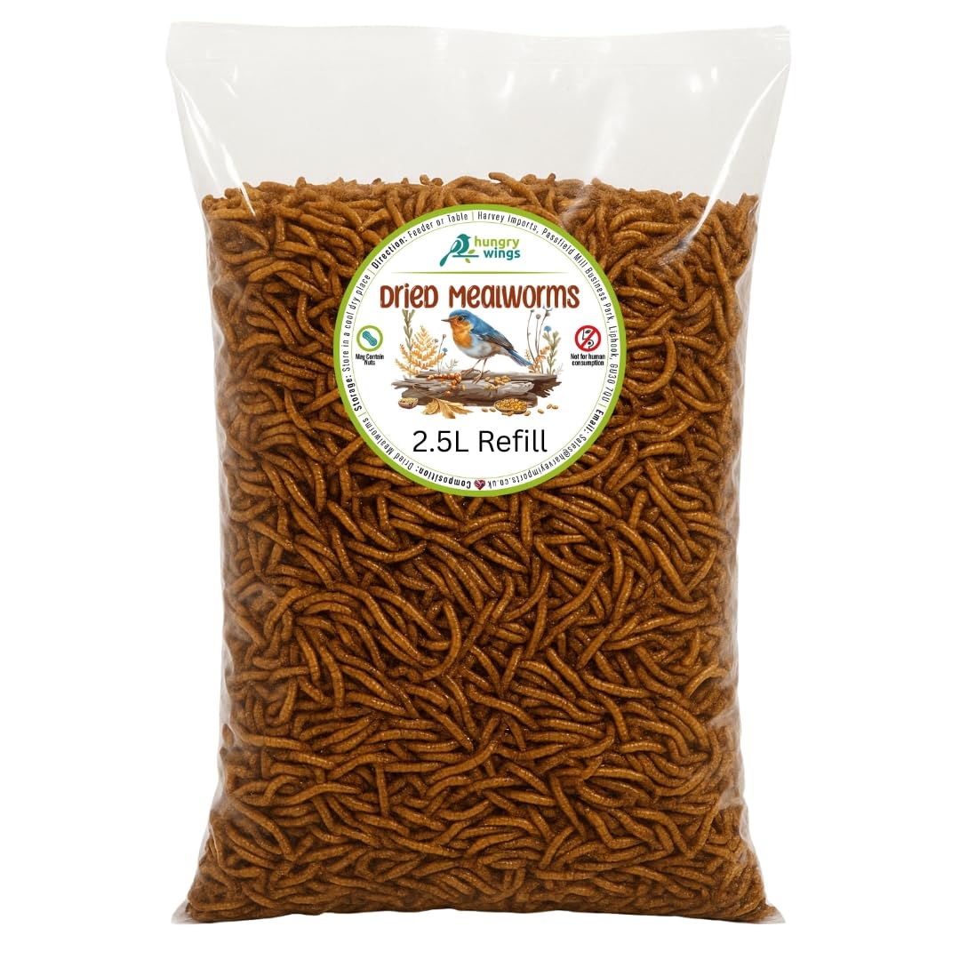 Premium Dried Mealworms, Wild Bird Food, 2.5L Refill Bag