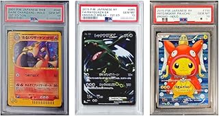 【PSA10 or PCG10 + SAR1枚確定】画像内orPSA10 or PCG10 + SAR1枚以上確定 ポケカオリパ SGR FACT限定 優良 福袋 MEGAドリーム発売記念 お年玉企画 新春