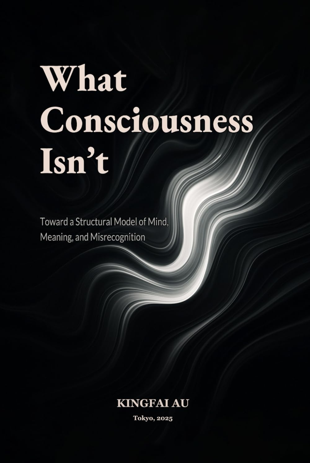 What Consciousness Isn’t: Toward a Structural Model of Mind, Meaning, and Misrecognition