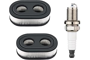 22 Inch Toro Recycler Air Filter (593260, 798452)