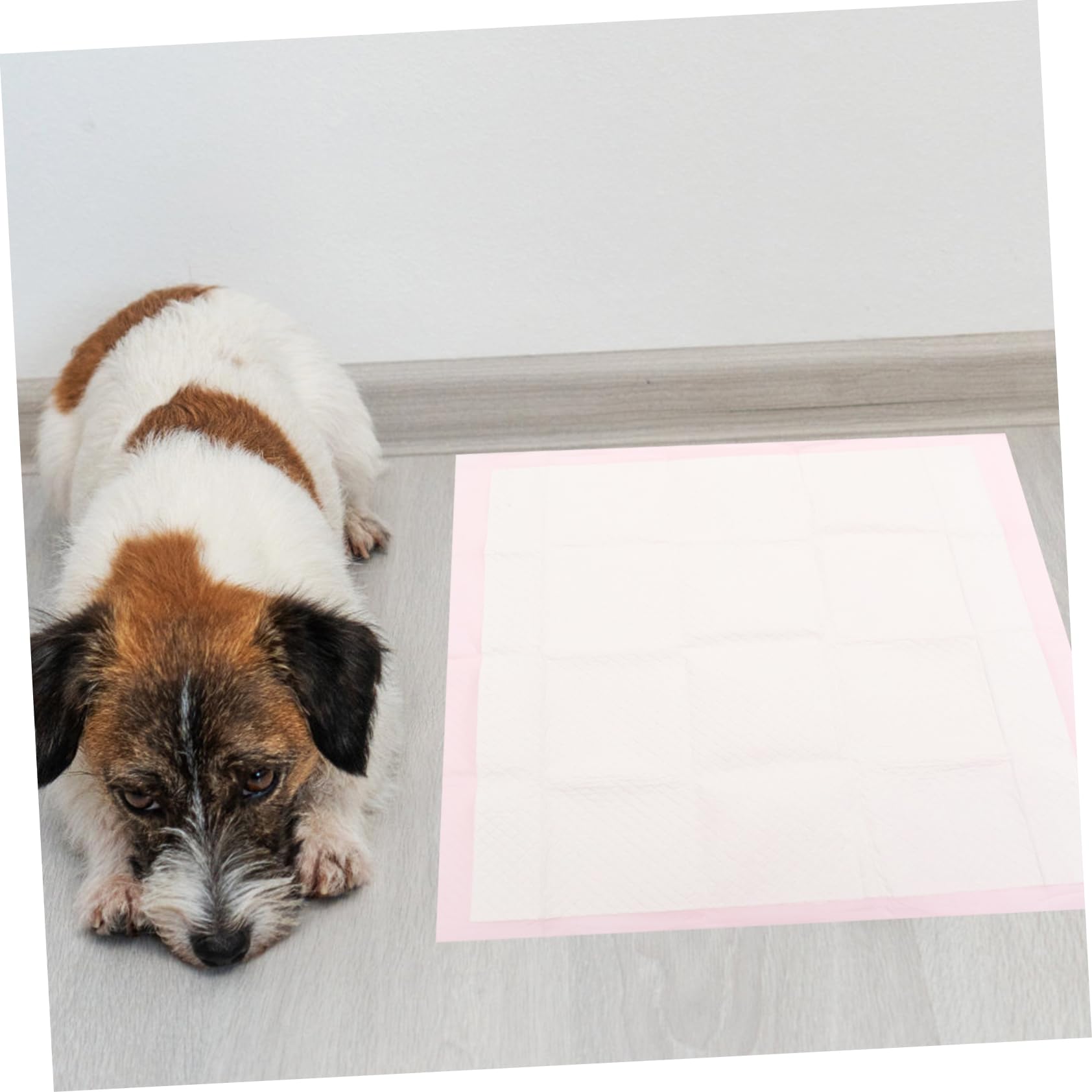 ifundom 40stücke Einweg-PIPI-unterlagen Aus Vliesstoff Saugfähig Auslaufsicher Für Welpen Mittelgroße Hunde Und Kleine Haustiere Trainingsmatten Für Stubenreinheitserziehung