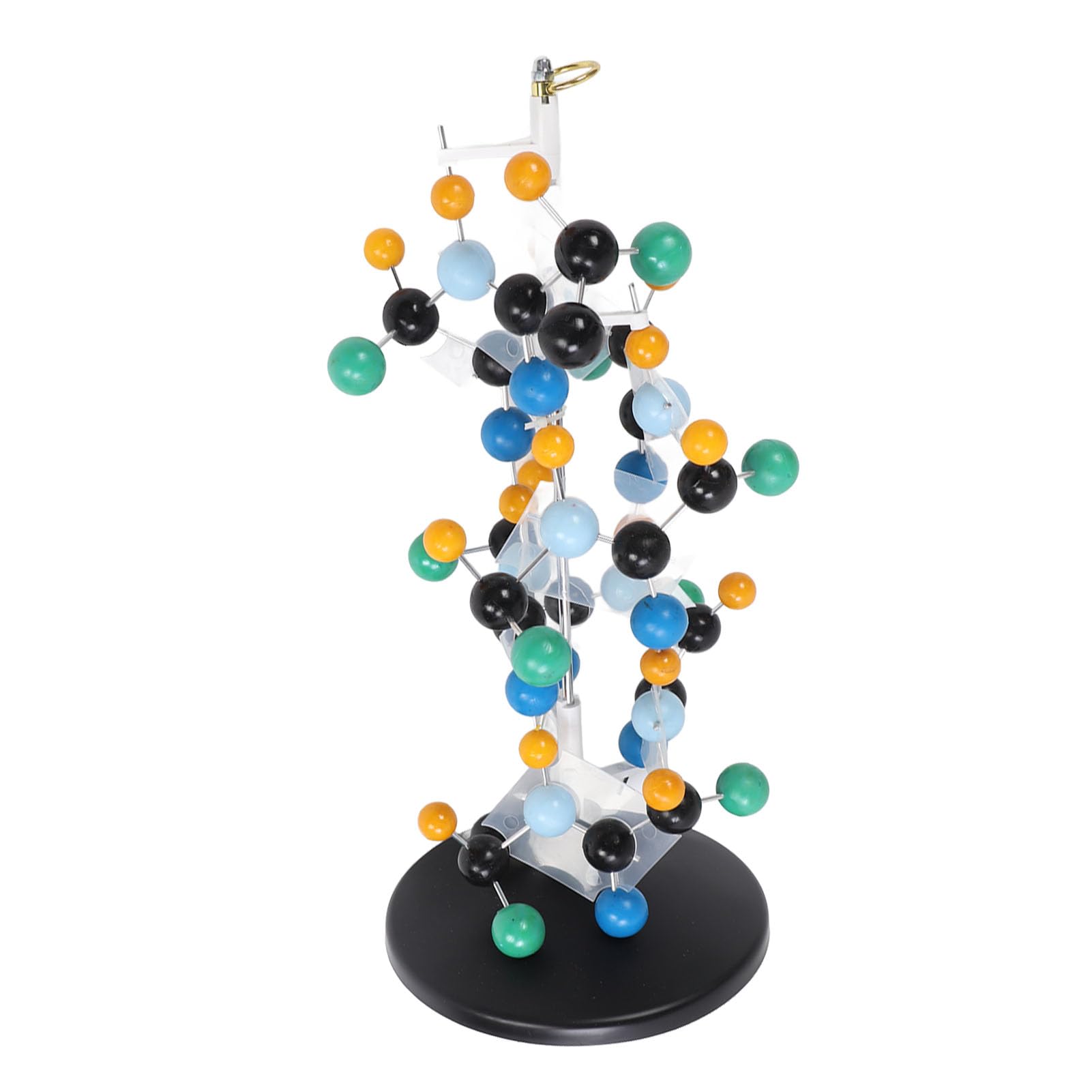 Equipo de Modelo Molecular de Proteína, Plástico Escolar para Profesores, Profesores, Profesores, Profesores, Animales Modelo