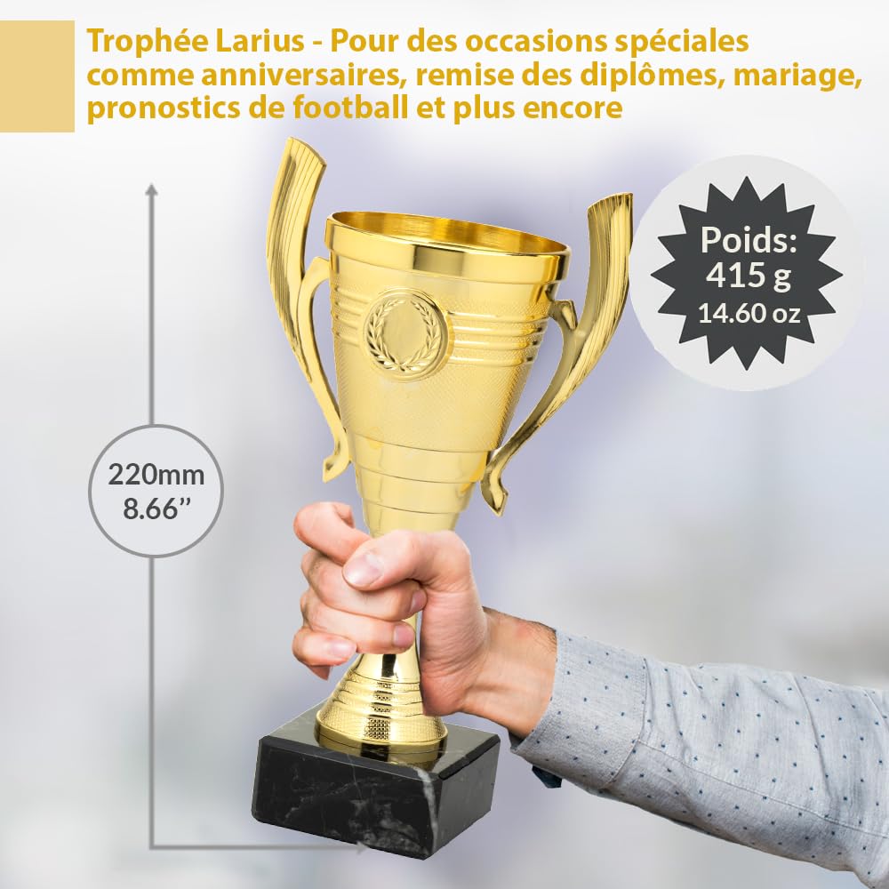 Larius Coupe (22 cm, 415 g) - Trophée élégant et universel avec socle en marbre - Personnalisable - Idéal pour le sport, l'école, les compétitions et les récompenses - B3