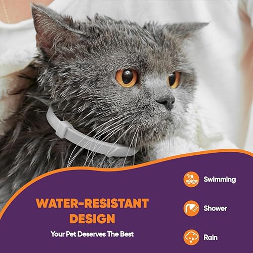 Miniatura 3 de Collares calmantes para gatos, paquete de 6 unidades, collar de feromonas grises y blancas, alivio natural del estrés para arañazos, marcas y ruidos