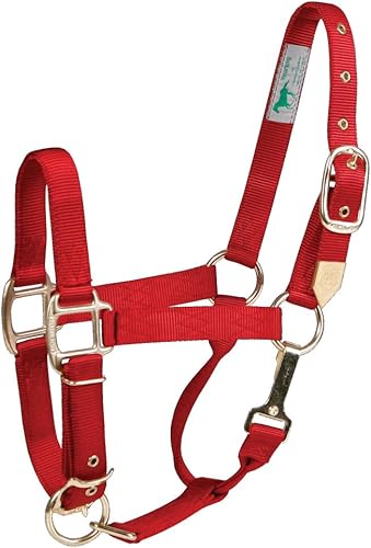 Hamilton Halter de nailon de 1 pulgada con barbilla ajustable, color azul, tamaño promedio