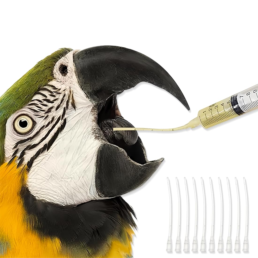 Kit De 10 Sondes Et 3 Seringues Pour Nourrir Les Oisillons - Alimentation Bébé Oiseaux, Tortues, Colombes - Taille 1ml à 10ml