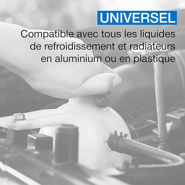 ERRECOM Bluet, Stop-fuites pour résoudre Les fuites de Liquide du Radiateur et des Systèmes de Refroidissement des Véhicules et des Motocycles, Bouteille de 250 ML - 2
