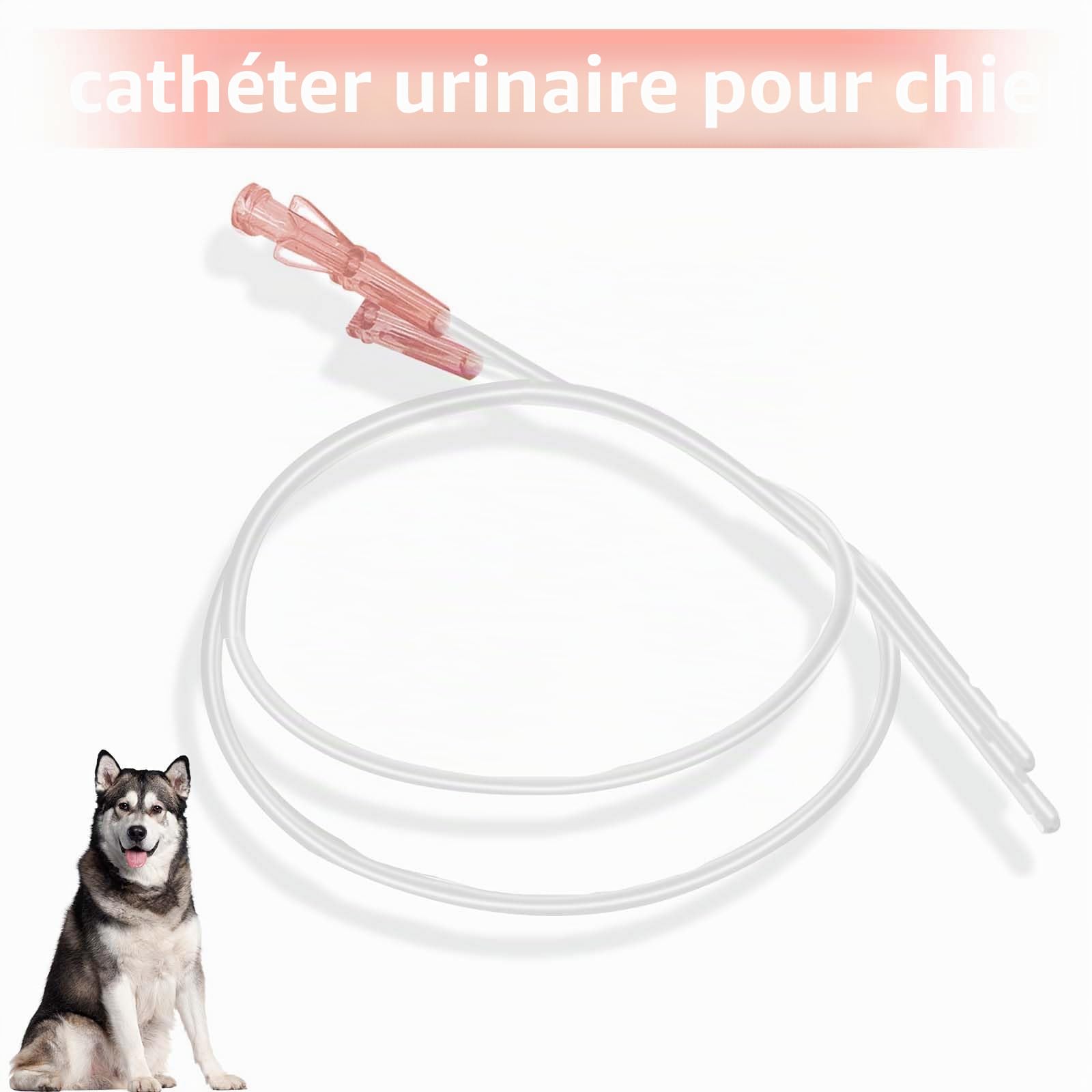 10PCS Cathéter pour chien avec sonde, Dégagement urétral, Obstruction urinaire avec ouverture latérale, Instrument vétérinaire. (2.0X500MM)