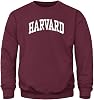 Barnesmith Crewneck Sweatshirt for College, Classic Logo, Color, Adult Unisex