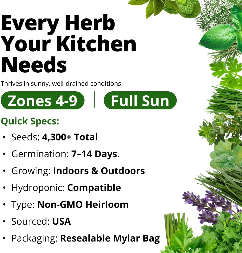 HOME GROWN Herb Seeds for Planting 15-Pack Massive Seed Count 4,300+ Seeds Non-GMO Heirloom | Extra Large | Culinary Herb Kit, Indoor Outdoor & Hydroponic | Grow Your Own Herbs | Gardening Gift - Image 4