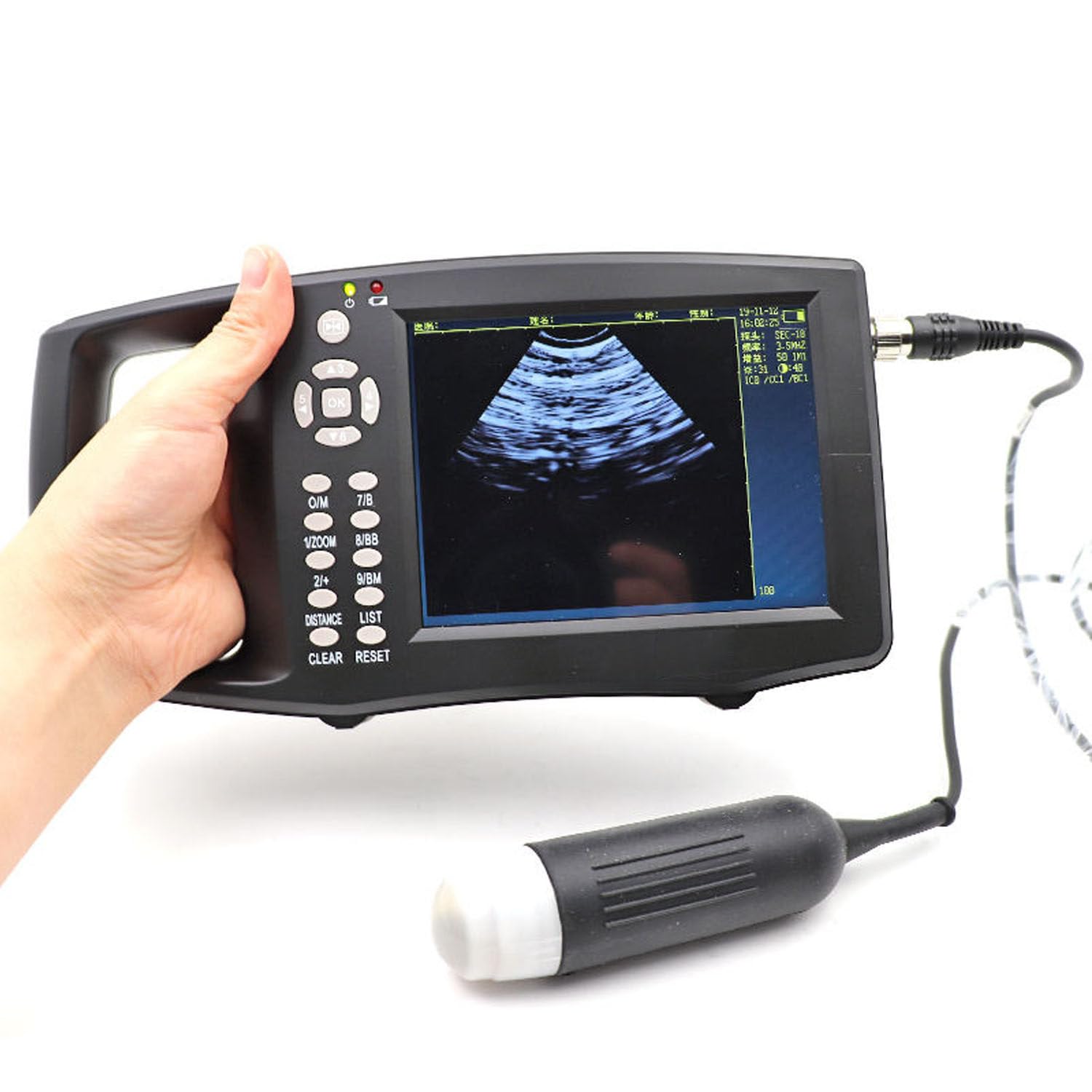 Analizzatore veterinario portatile di ultrasuono per la gravidanza delle pecore e del maiale, sonda meccanica di HD, imaging diagnostico dell'animale dell'azienda agricola