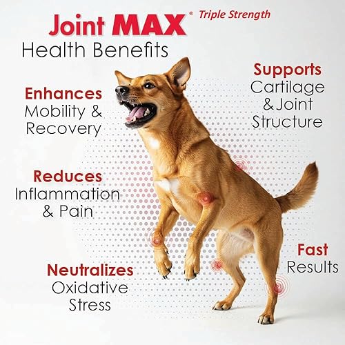Vista 4 de PHS Joint Max Triple Strength (TS) Masticables suaves para perros, glucosamina, condroitina, MSM, cúrcuma, Omega 3, alivio del dolor de cadera