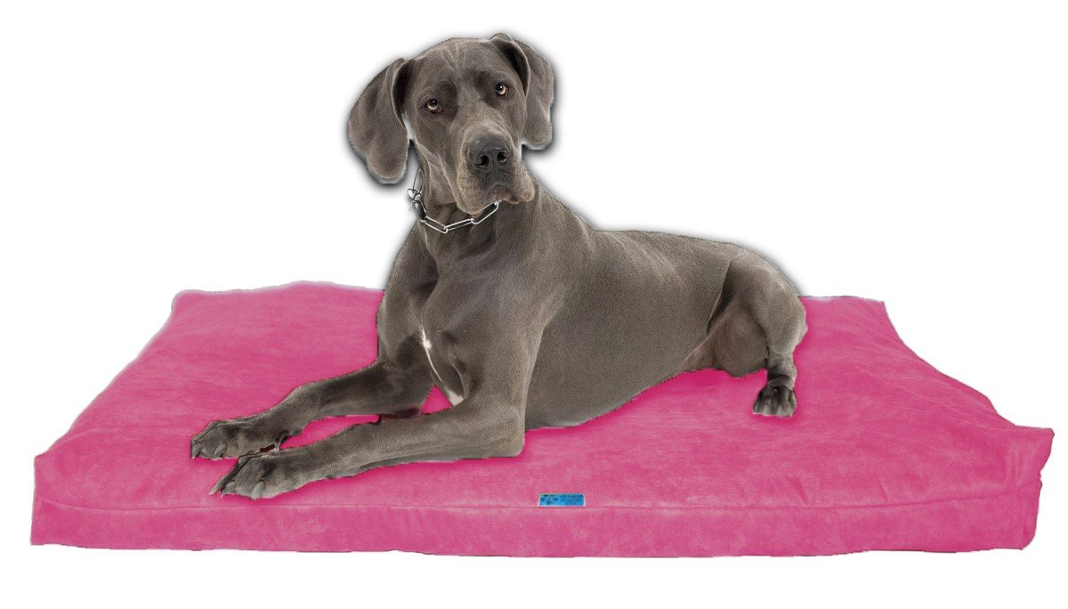 Amazon.com : Five Diamond Collection Shredded Memory Foam