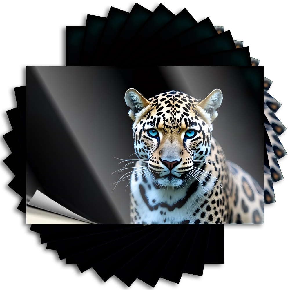 Bedroom Decor for Men Helmet Quote - A Leopard with Striking Blue Eyes. Autumn Durable Sticker Easy Apply for Billiards Decor(8X12CM)