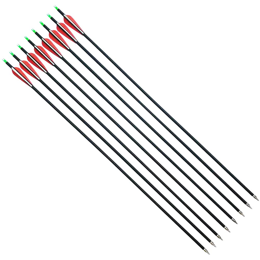 SHARROW 12pcs Freccia in Carbonio 31 Pollici Frecce da Caccia Spine 500 Tiro con L'Arco Freccia de Carbonio con Punte di Freccia da 100 Grani per Arco Compound Ricurvo