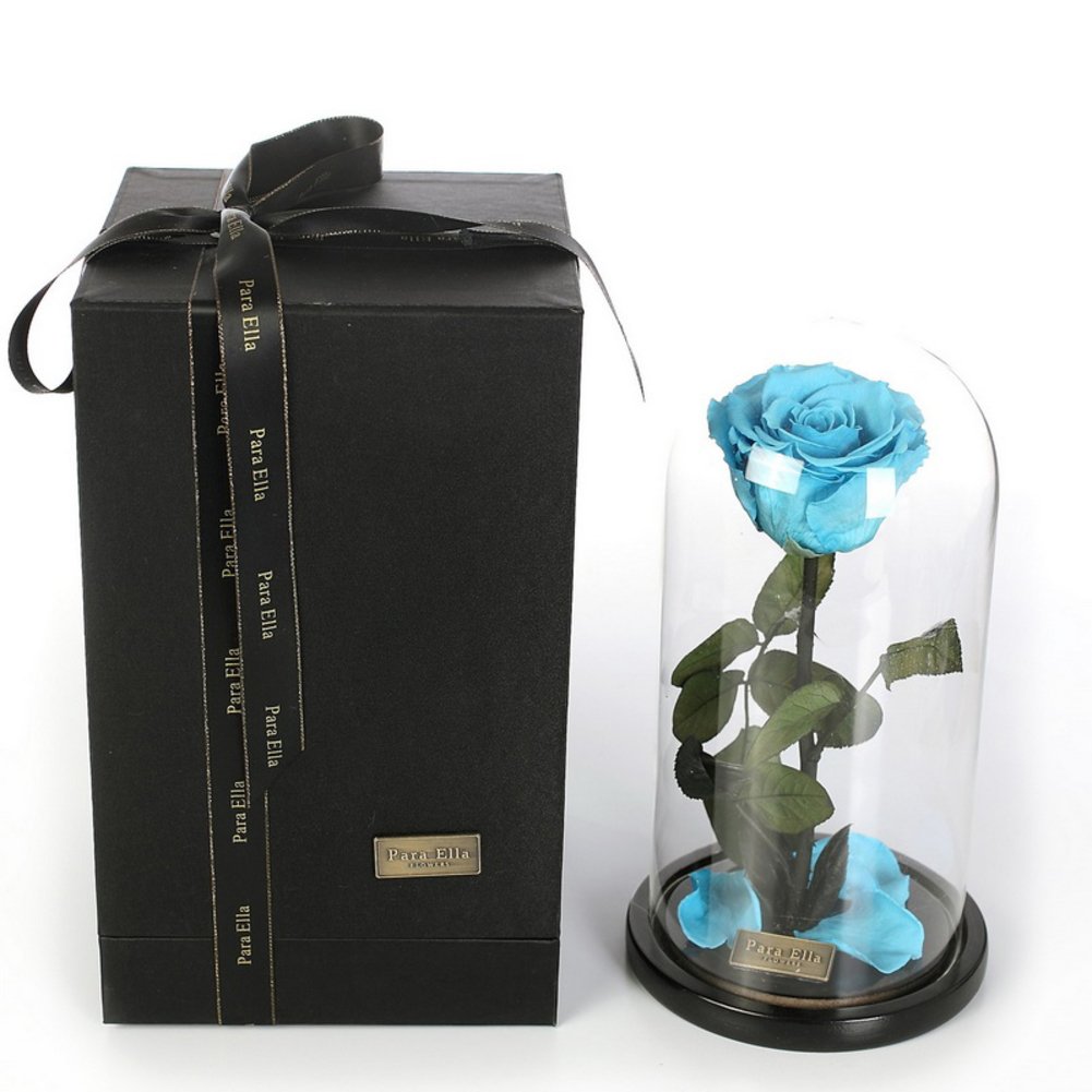 Fleur immortelle bleue Le Petit Prince, le cadeau de Noël romantique parfait