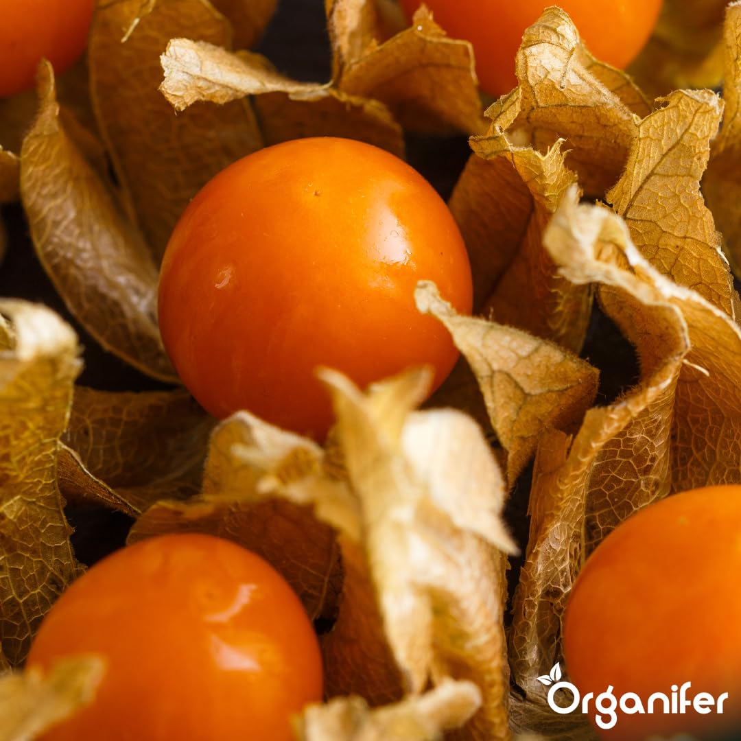 Physalis Nawóz Organiczny Do Roślin Owocowych - 10L - NPK 2-1-8 | Zdrowe Liście - Silne Korzenie I Wysoka Plonność - Organifer
