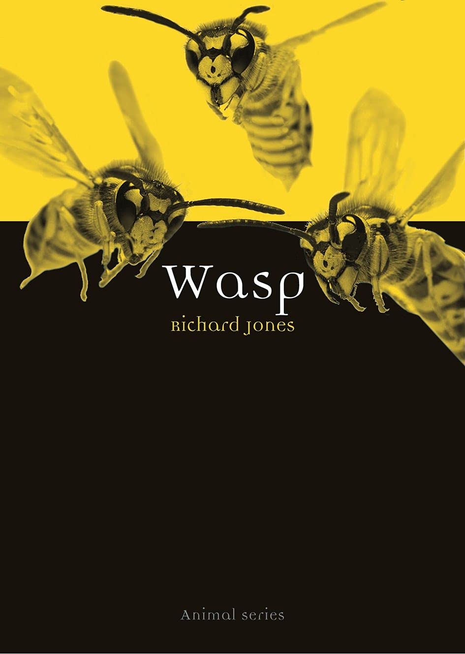 Wasp by Richard Jones PAPERBACK 9781789141610