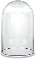 CYS EXCEL 10.5" Hand-Blown Dome Glass Cloche Bell Jar - Wooden Base Display for Terrariums, Antiques, Desserts & Weddings