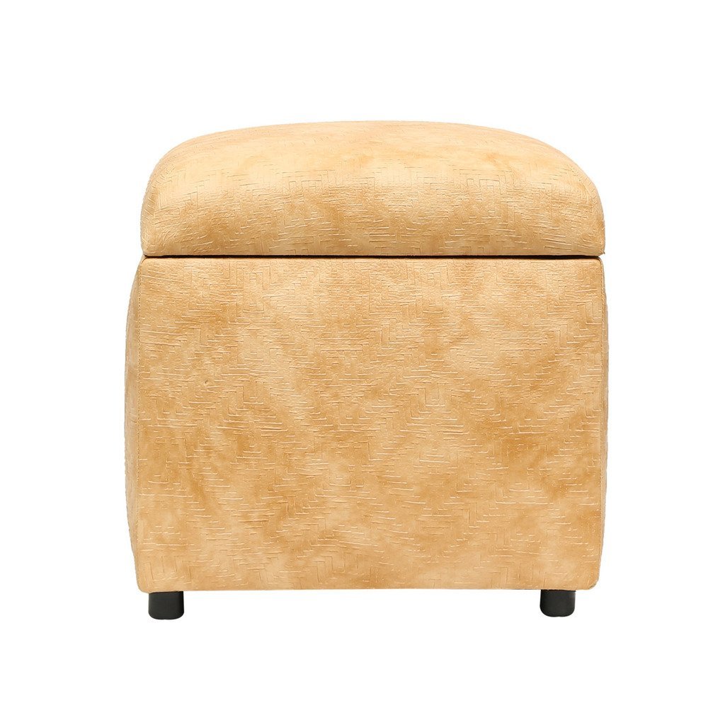 Vicar Faux Leatherette Cane mat Finish Storage Ottoman (Standard, Beige)-image-16