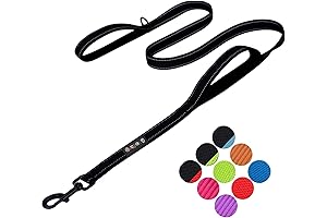 3M Reflective Dog Leash with 2 Handles for Enhanced Control