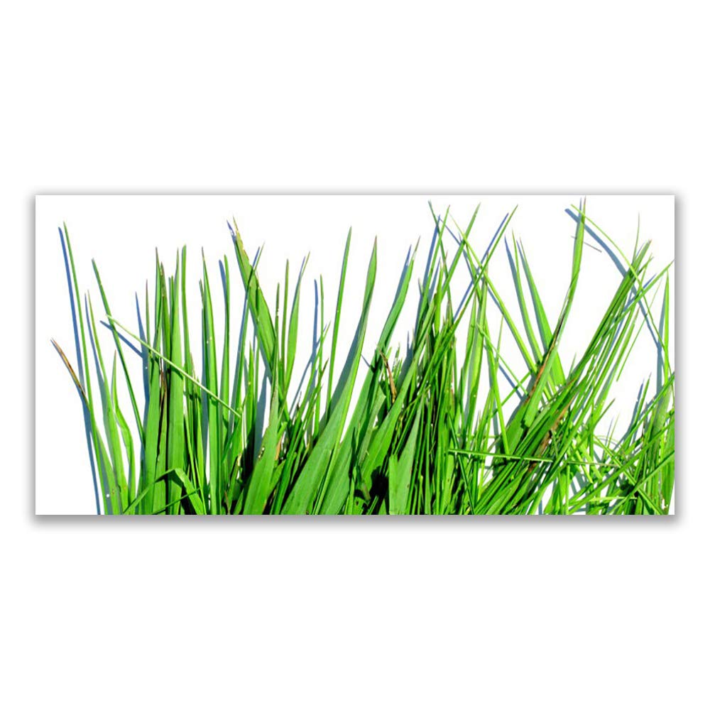 Tableau en verre acrylique 140x70cm herbe floral plastique imprimés tableau mural moderne