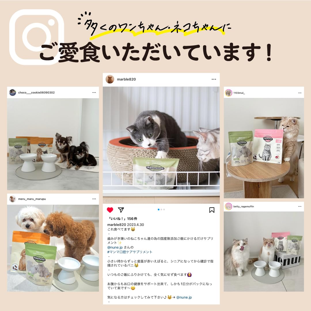 Amazon.co.jp: ［ 犬猫用 ］マンマ 口腔ケアサプリメント 犬 猫 歯磨き