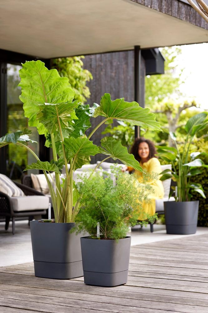 Elho Greensense Aqua Care Square 38 - Macetero por Interior y Exterior - 100% Plástico Reciclado - Ø 38.0 x H 38.9 cm - Charcoal Grey