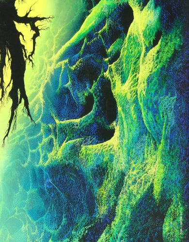 Amazon.co.jp: Eyvind Earle: 本、バイオグラフィー、最新アップデート