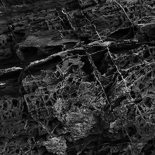 Spiele Back from the Tunnel von Mad Zach & Bayawaka auf Amazon Music ab