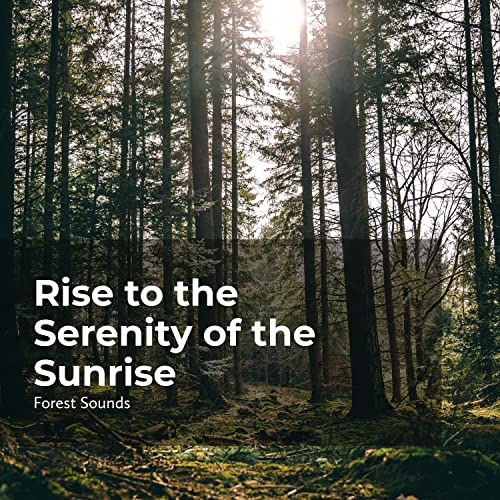 Rise to the Serenity of the Sunrise von Forest Sounds & Rainforest