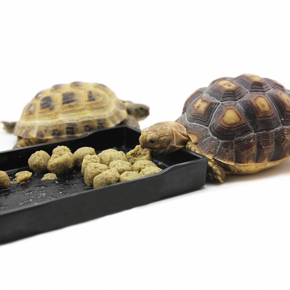 Gamelle pour Reptile OMEM Grand Plat à Eau, Gamelle de Nourriture, Bol pour Tortue (XL, Treillis Noir)