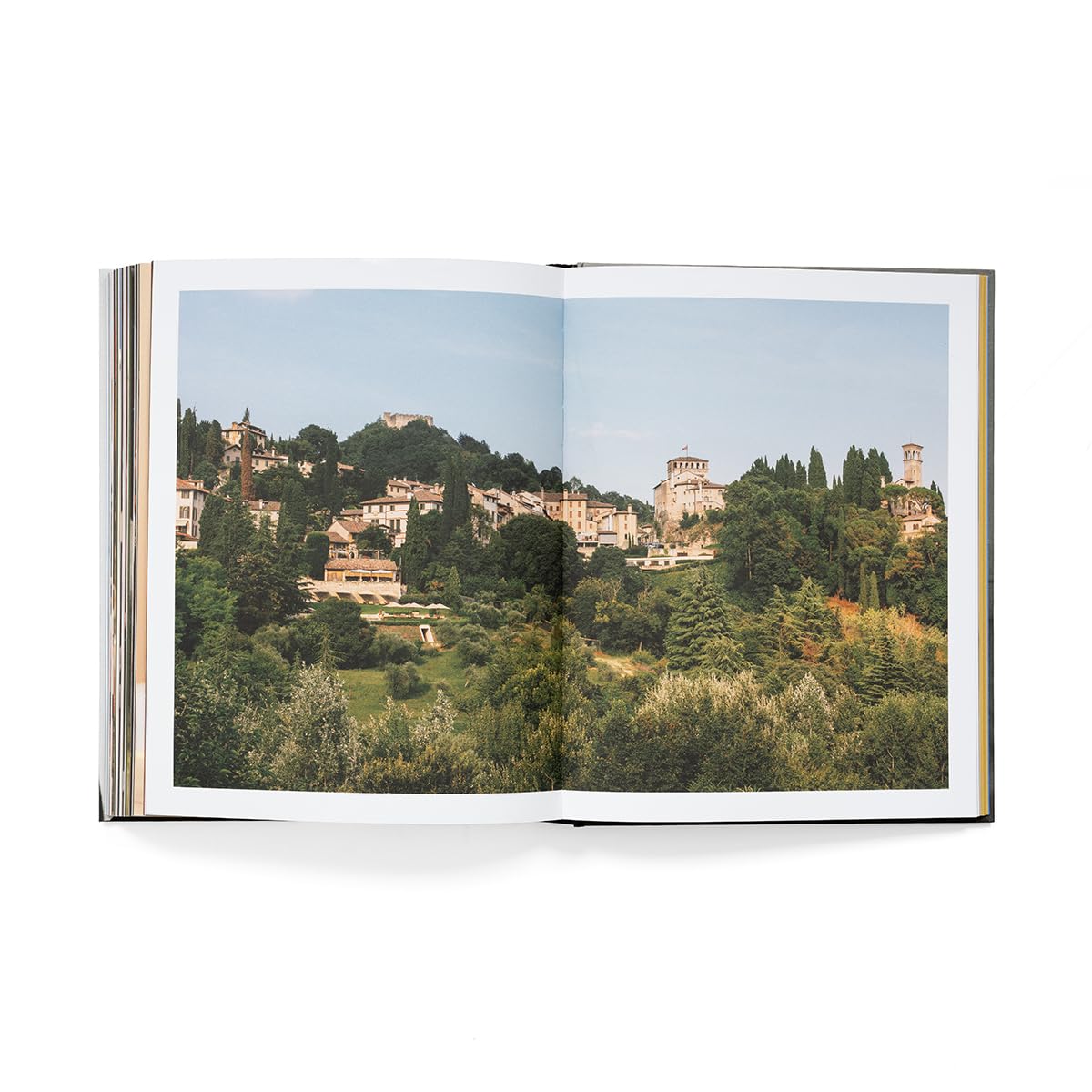Tutto Vero. Viaggio di uno chef in Veneto: storie, personaggi e ricette. Ediz. italiana e inglese
