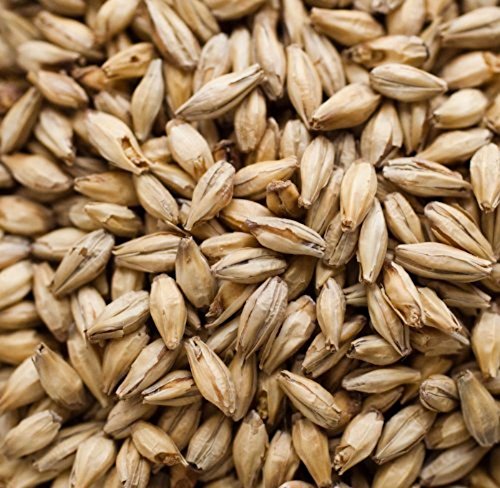 Weyermann Dark Munich Home Brewing Malt Whole Grain 1lb Bag