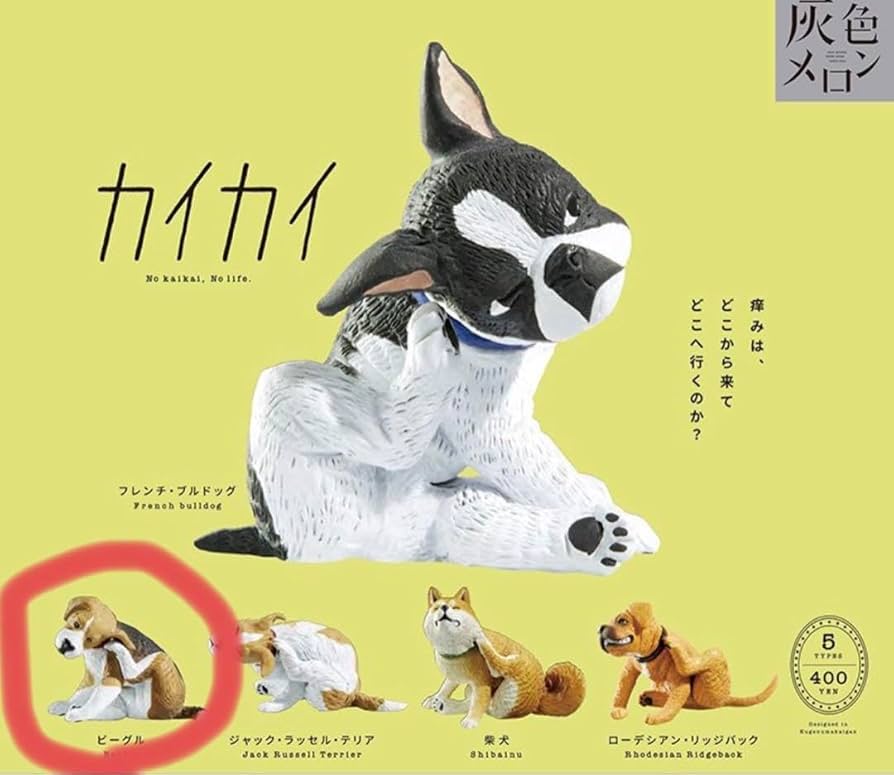 【ビーグル】カイカイ Amazon | カイカイ ビーグル 犬 いぬ イヌ ガチャガチャ
