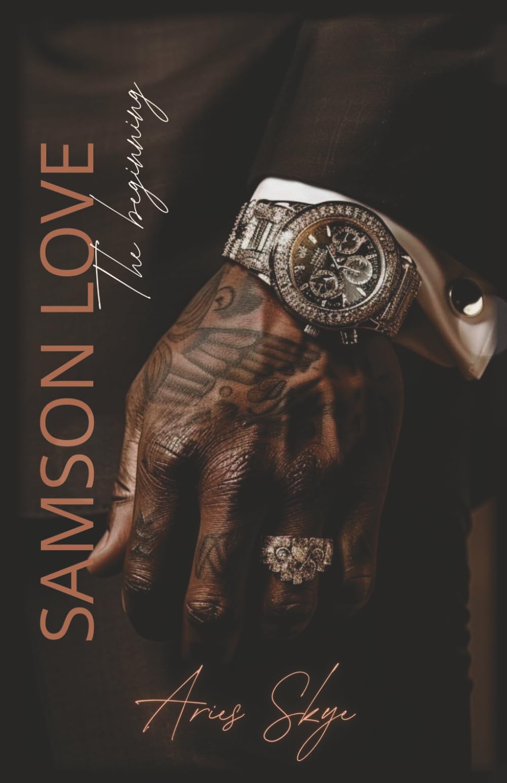 SAMSON LOVE: The Beginning (Love Brothers)