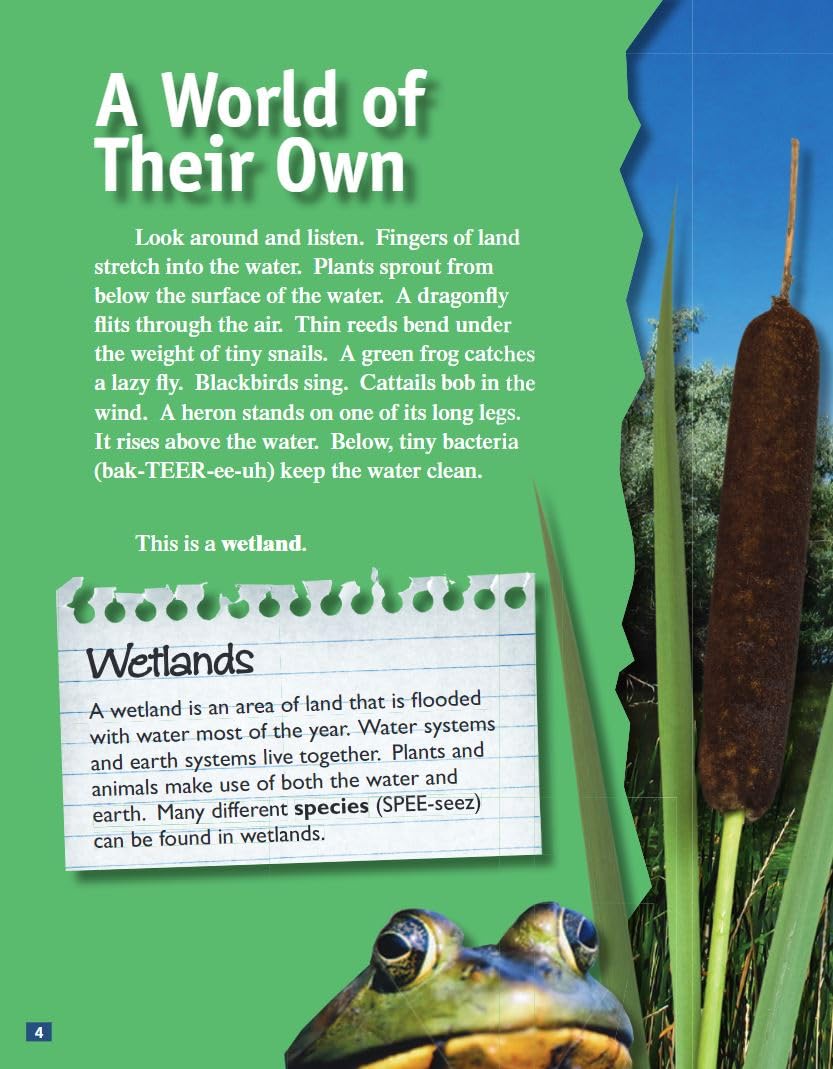 Wetlands: Biomes and Ecosystems (Science Readers) - Image 4