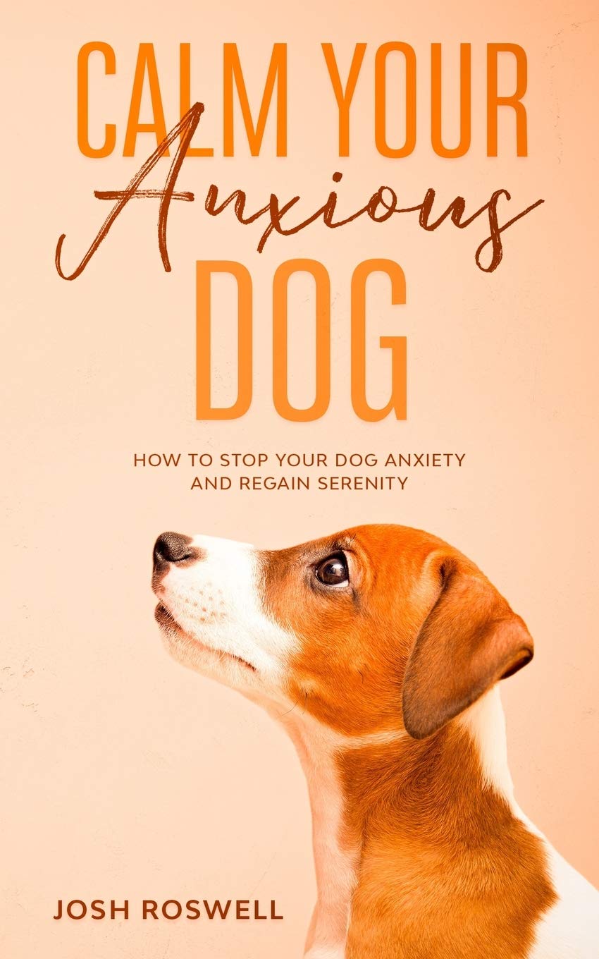 What Calms A Dogs Anxiety