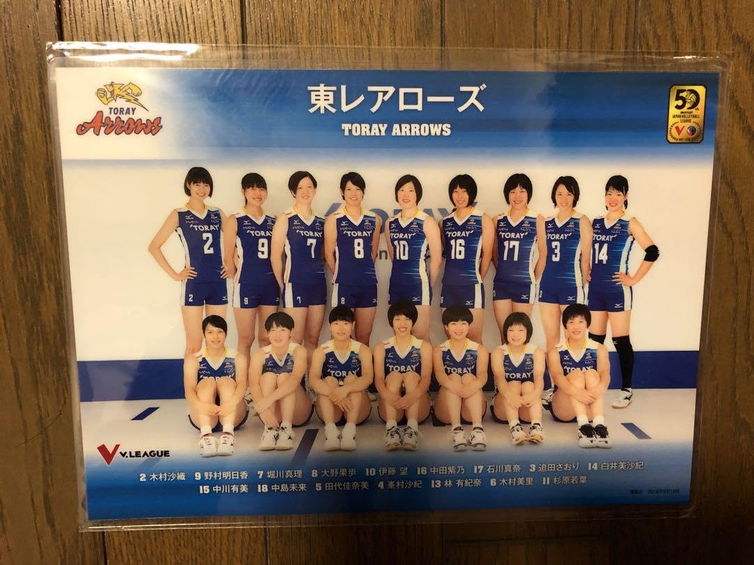 Amazon.co.jp: 火の鳥NIPPON Vリーグ 東レアローズ 下敷き 計3枚セット