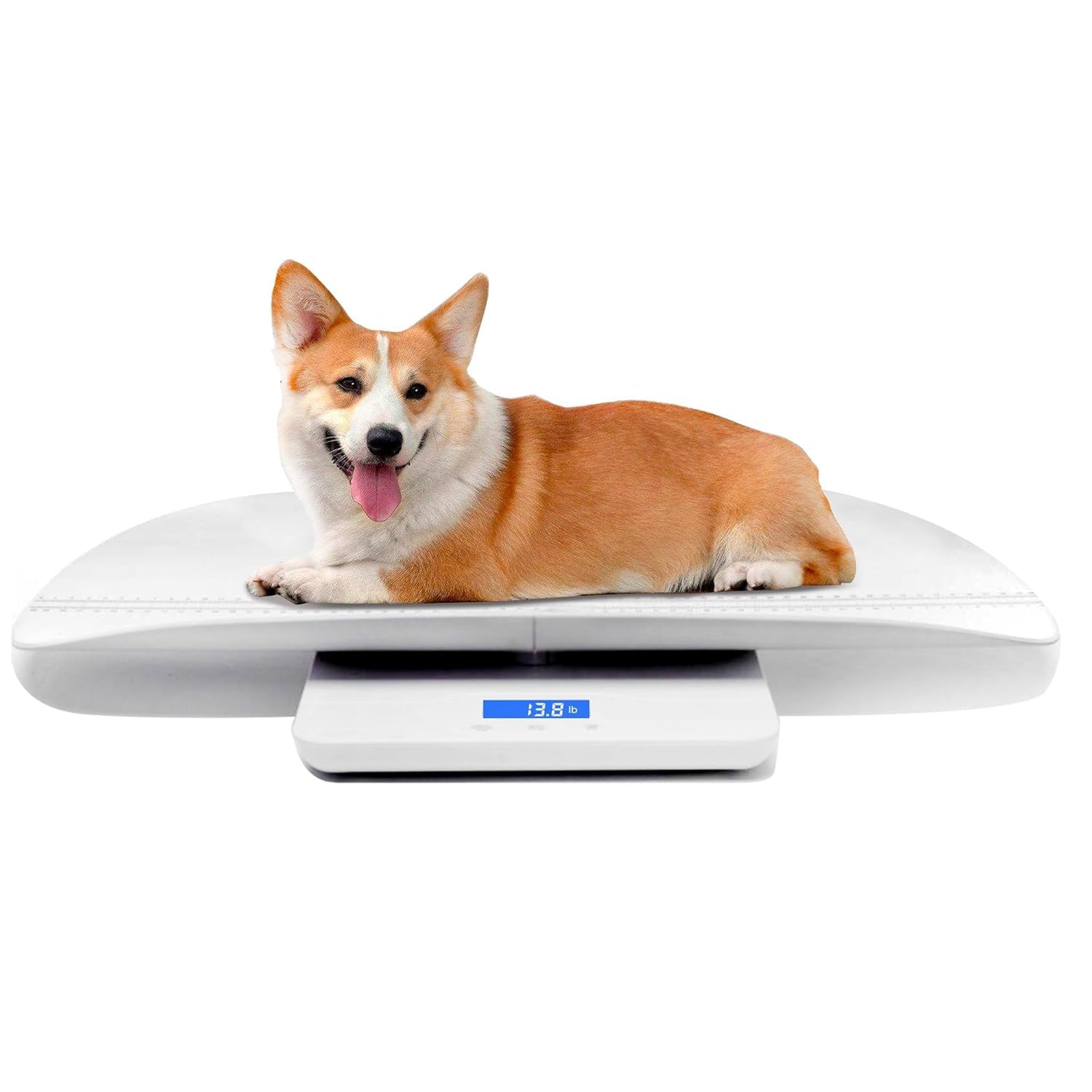 Digitale Haustierwaage, Babywaage, mit 3 Wiegemodi (kg/oz/lb), Max 220 lbs, Präzision bis zu 0.02lbs, Weiß