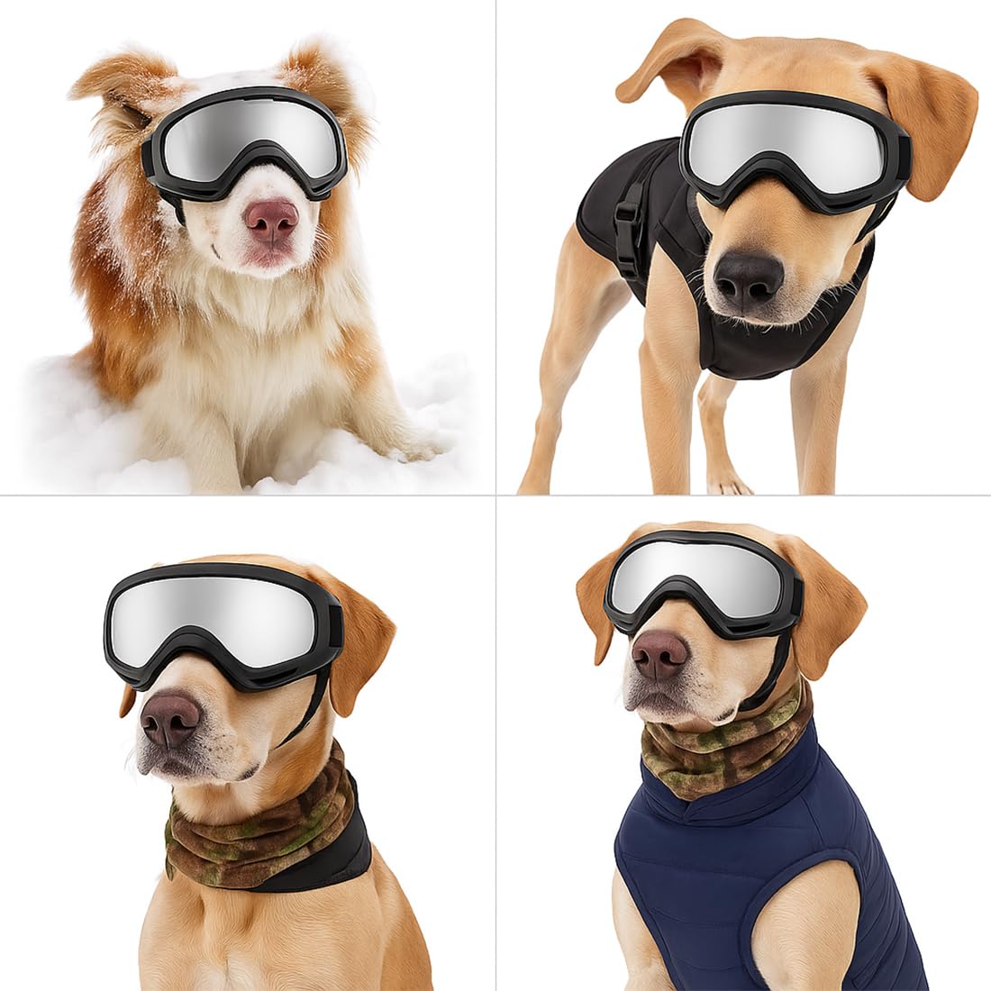 Occhiali da Sole per Cani, Protezione UV, Occhiali Cane, Occhiali Moto cane, Adatti per Cani di Piccola Taglia