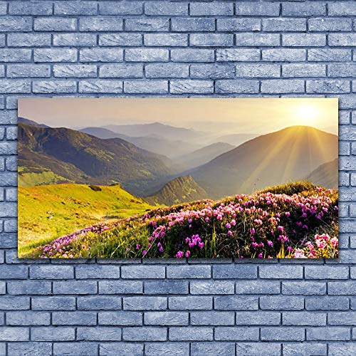 Décoration déco design tableau mural acrylique 140x70cm paysage