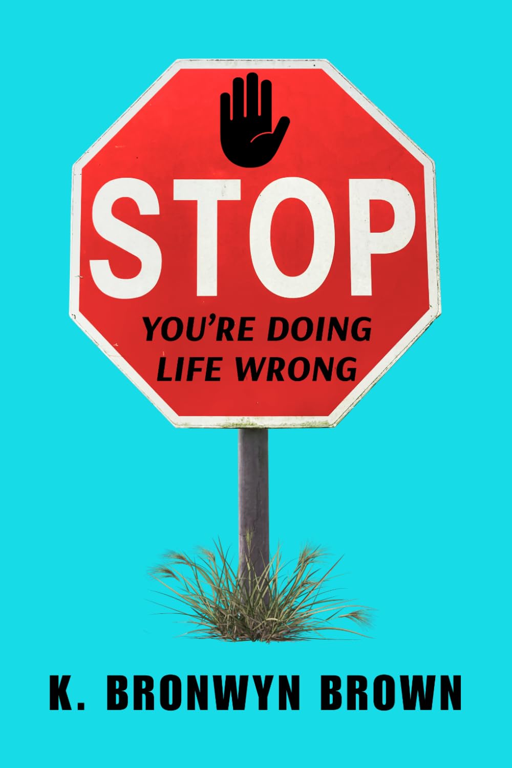 STOP. You're Doing Life Wrong: Do the Opposite of Everything You Were Taught and Win at Life, Love, and Purpose